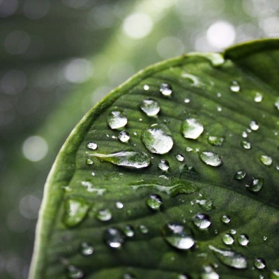 1920 x 1080 HD Wallpapers 2290